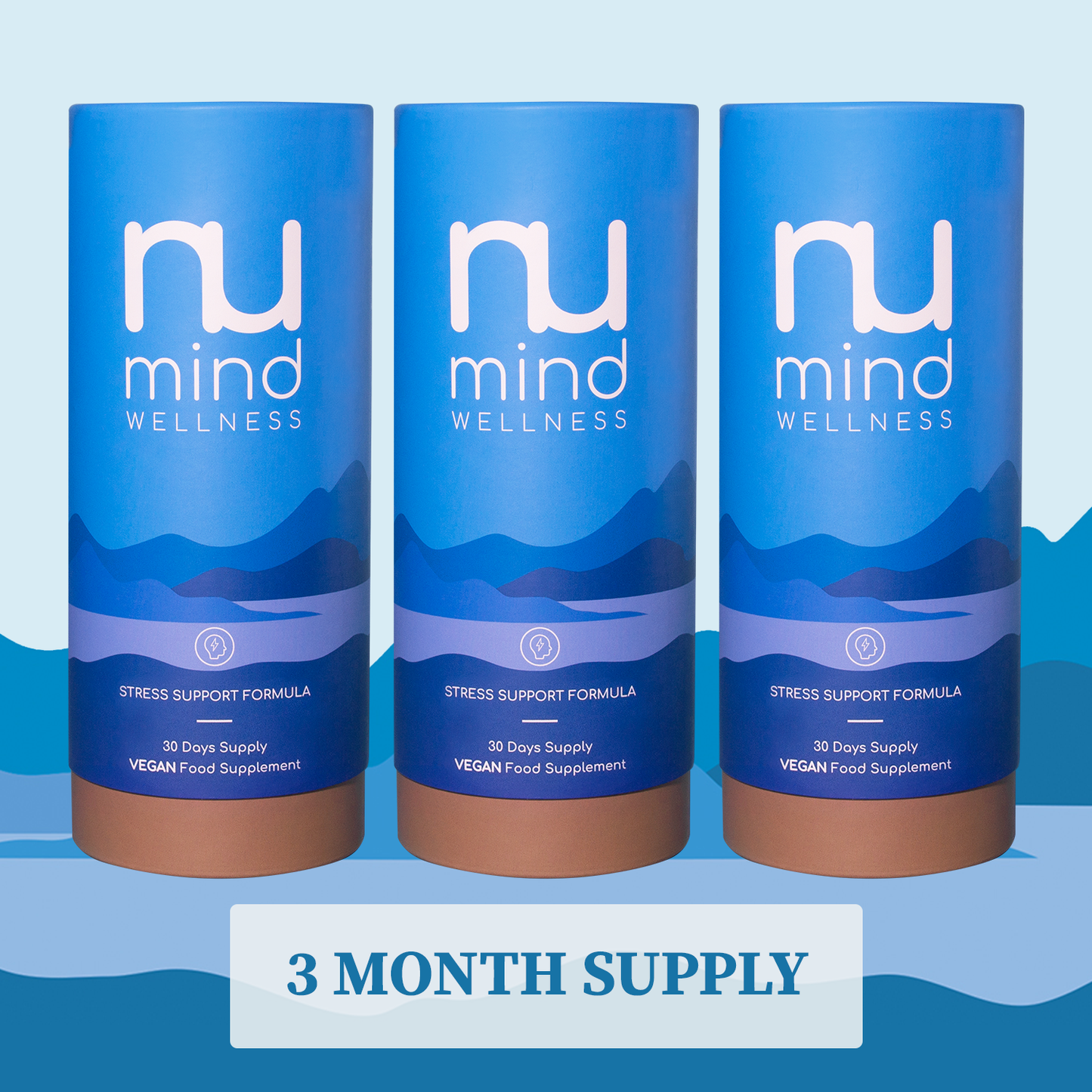 Stress & Mild Anxiety Support Supplement (3 Month Supply)